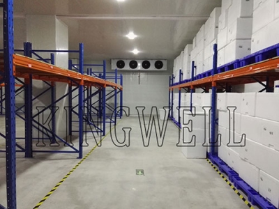 KINGWELL 3200m Proyecto de cmara de fro se ha terminado en Shenzhen