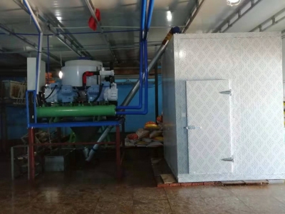 Kingwell 10 ton proyecto de mquina de hielo en escamas en Shandong para el mercado de mariscos