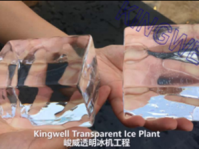 Video of Kingwell transparent ice plant