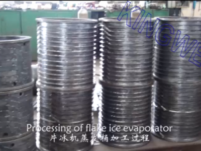 Processing of flake ice evaporator