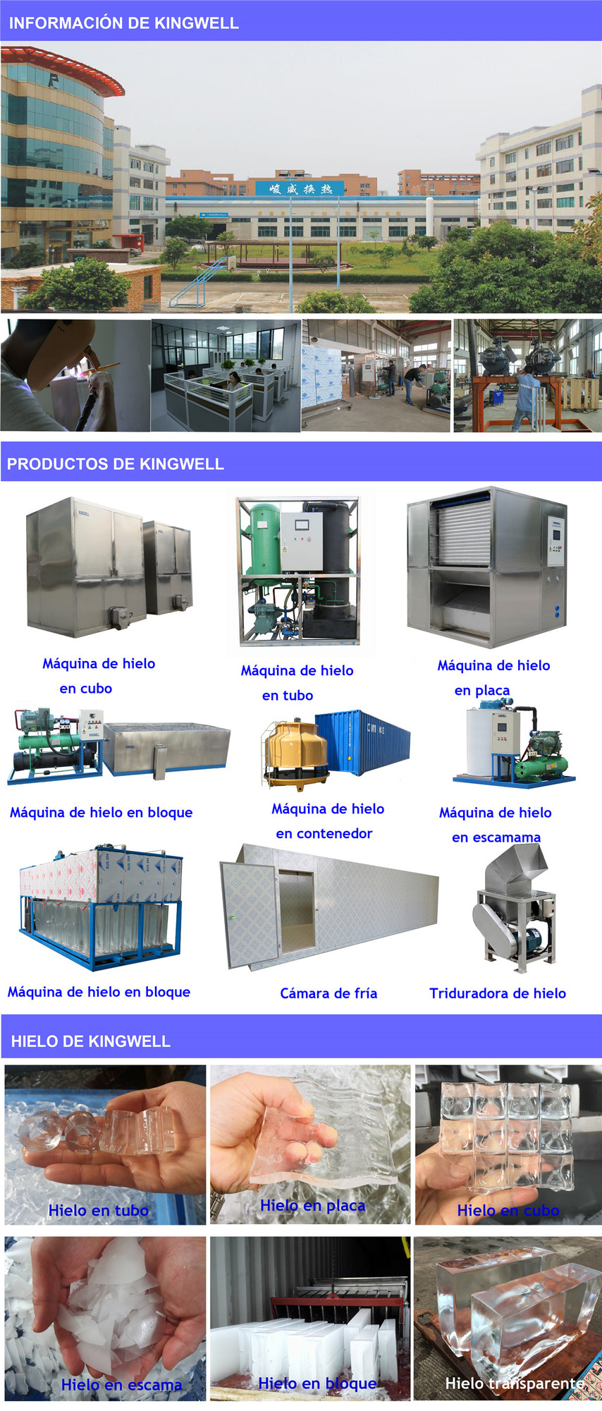 西文 KINGWELL COMPANY + PRODUCTS_副本.jpg