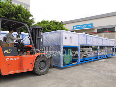 Delivery for shipping 2 sets of 30 Tons/day block ice machine to Indonesia