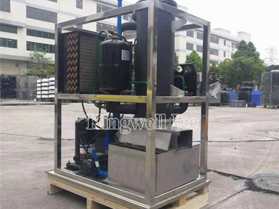 Small Capacity 500kgs Tube Ice Machine Delivery to South America