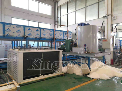 Repeat order of 10tons per day air cooling flake ice machine