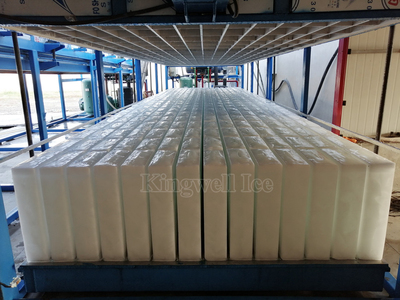 KINGWELL Machines Working at 60tons Block Ice Plant